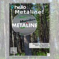 Image for Metaline