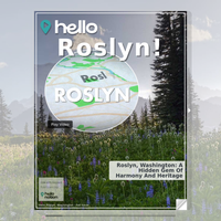 Image for Roslyn