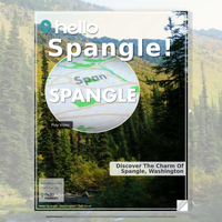 Image for Spangle