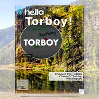 Image for Torboy