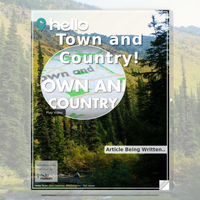 Image for Town and Country