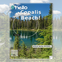 Image for Copalis Beach