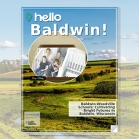 Image for Baldwin