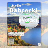 Image for Babcock