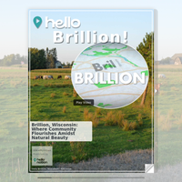 Image for Brillion