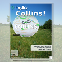 Image for Collins