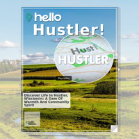 Image for Hustler