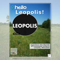 Image for Leopolis