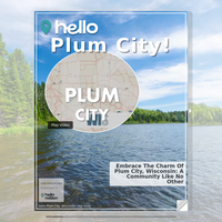 Image for Plum City