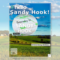 Image for Sandy Hook