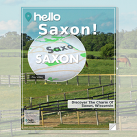 Image for Saxon