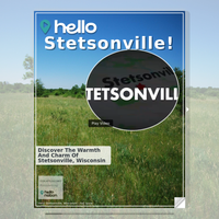 Image for Stetsonville