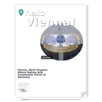 Image for Vienna