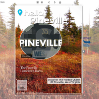 Image for Pineville