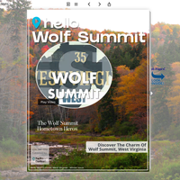 Image for Wolf Summit