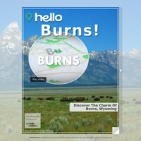 Image for Burns