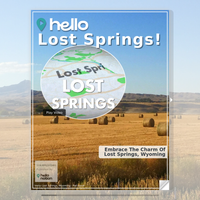 Image for Lost Springs