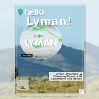 Image for Lyman