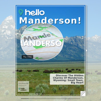 Image for Manderson