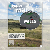 Image for Mills