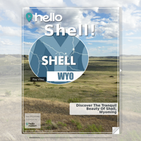 Image for Shell