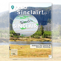 Image for Sinclair