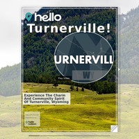 Image for Turnerville