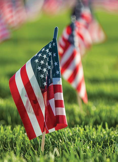Honoring american veterans on memorial day with flags at the national cemetery, a patriotic tribute.