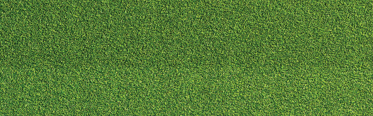 Green grass texture for sport background. Detailed pattern of green soccer field or football field grass lawn texture. Green lawn texture background. Close-up.