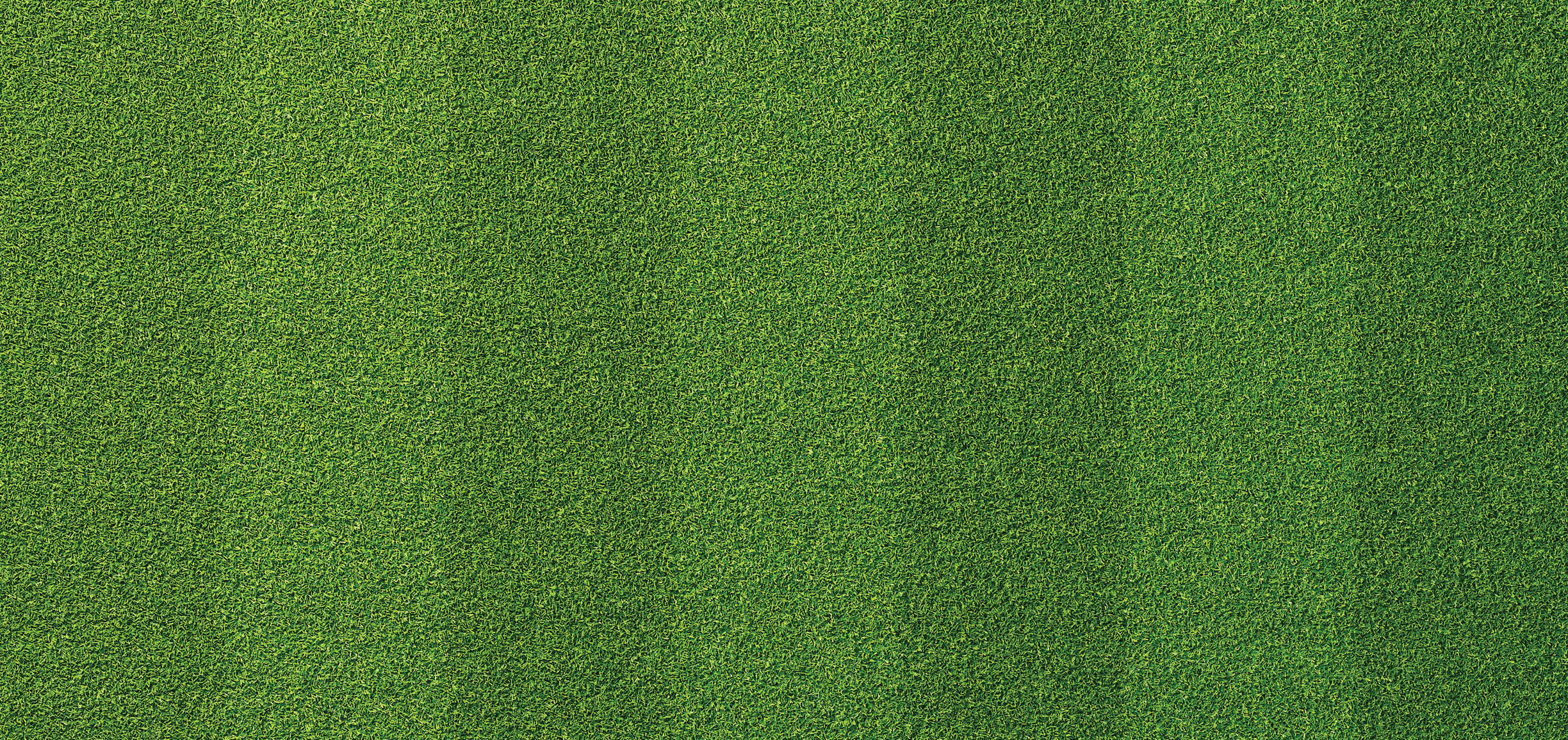 Green grass texture for sport background. Detailed pattern of green soccer field or football field grass lawn texture. Green lawn texture background. Close-up.