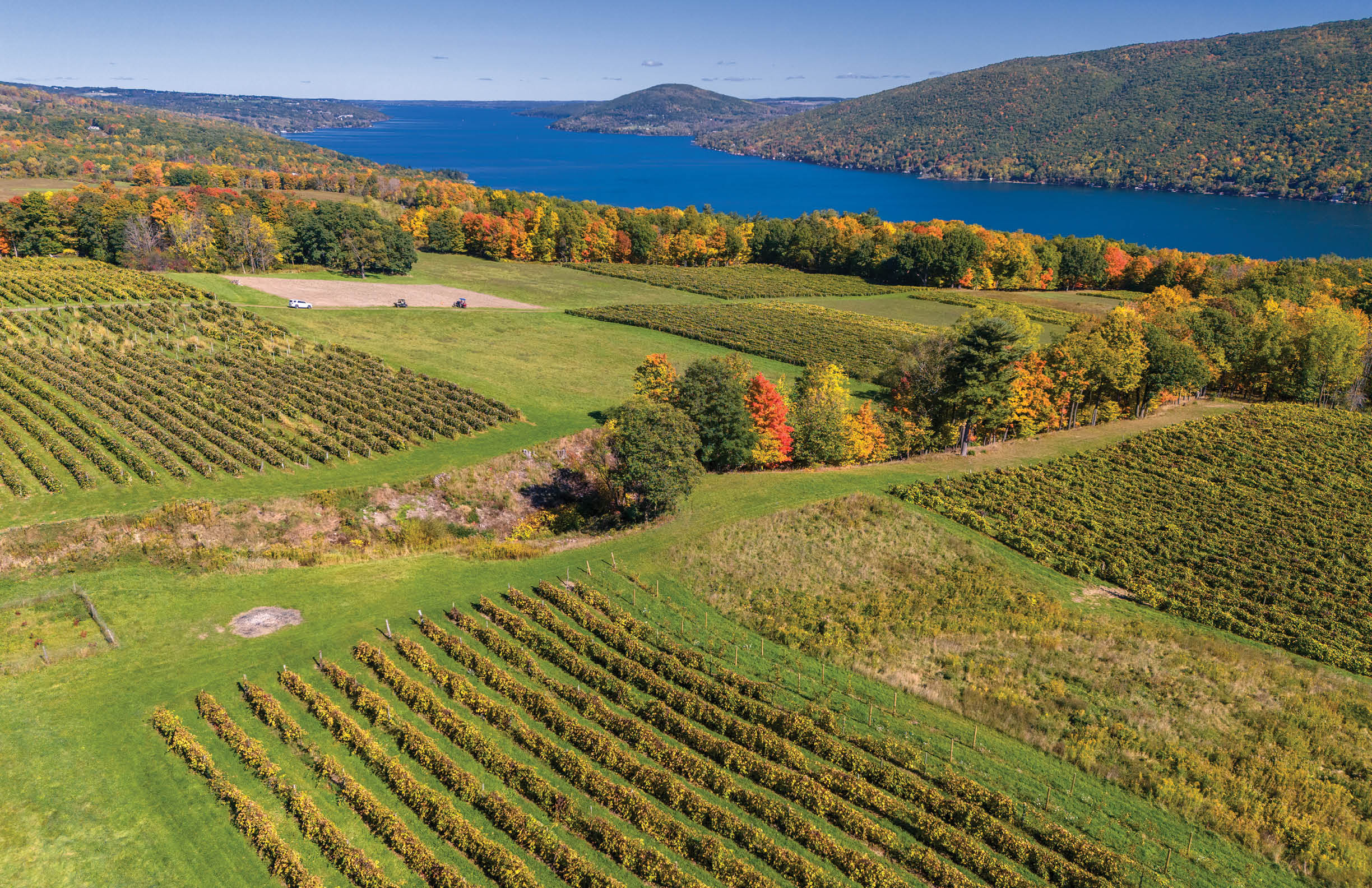 Vineyards Overlooking Canandaigua Lake. South Bristol, New York. Finger Lakes New York Wine Region.