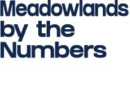 Meadowlands by the Numbers